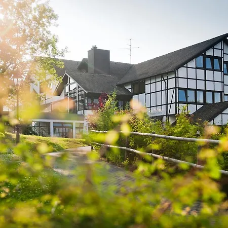 Ferienhaus Ahorn 11 - #127713